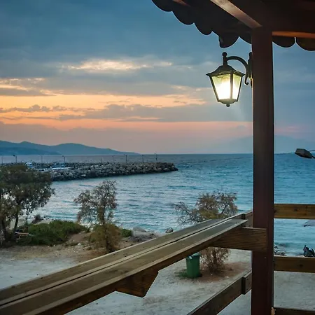 Zante Mare * Alykanas (Zakynthos)